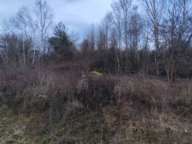 Landschaftliche Szenerie auf den Erholungsgrundstücken in der Eva-Straße in Holčíkovce.