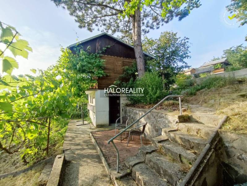 Gärten in Zvolen mit Treppen, Bäumen und einem Holzhaus, die eine angenehme Atmosphäre schaffen.