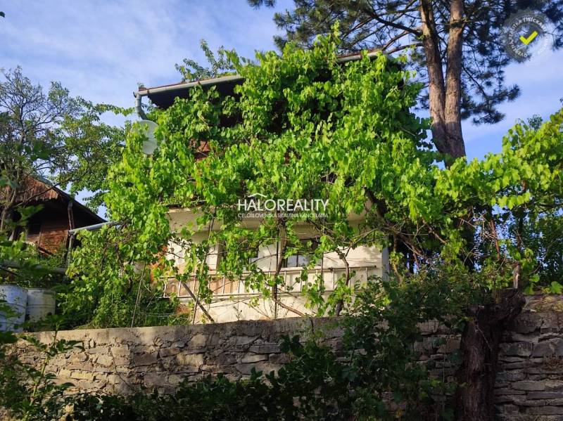 Ein mit Grün bewachsenes Haus mit einer Steinmauer in den Gärten in Zvolen.