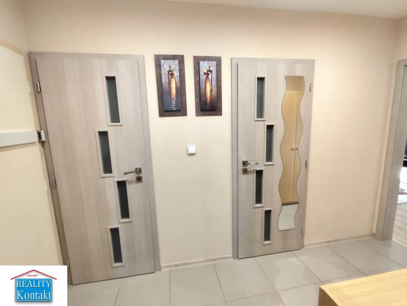 Innenraum einer 3-Zimmer-Wohnung mit modernen Türen und Kunstgemälden an der Wand.