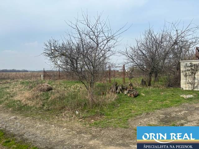 Landwirtschaftliche und forstwirtschaftliche Flächen in der Straße Domky in Zálesí mit sichtbaren Bäumen und einem Weg.