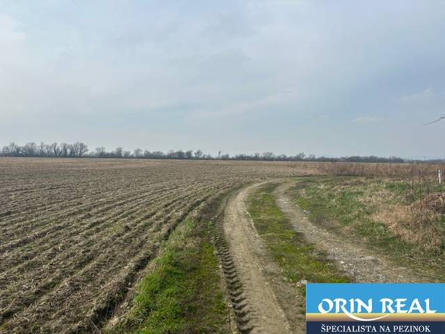 Landwirtschaftliche und forstwirtschaftliche Grundstücke in Zálesí an der Straße Domky mit einem Feldweg.