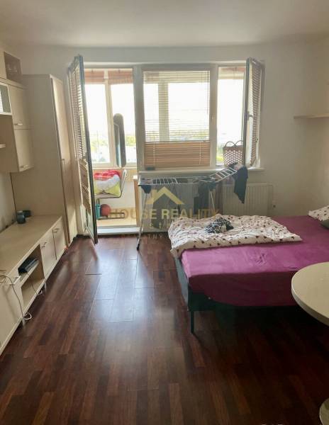 Einzimmerwohnung mit Bett, Einbauschrank und Balkon, heller Holzboden.