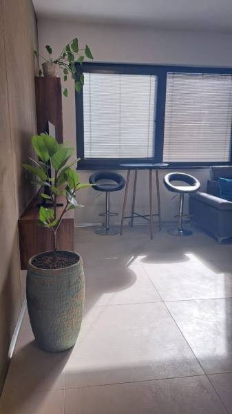 Innenraum einer 2-Zimmer-Wohnung mit Barhockern, Tisch und Blumentopf.