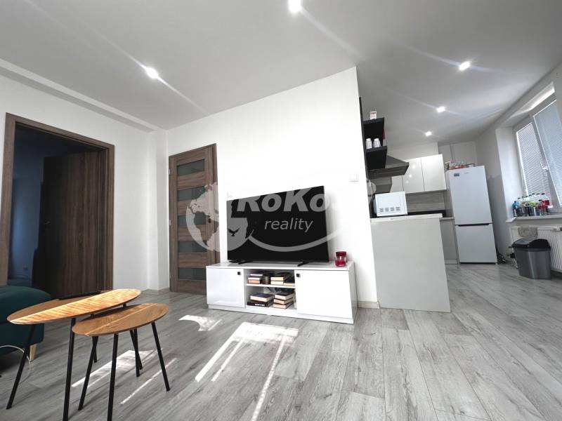Wohnbereich einer 2-Zimmer-Wohnung mit Fernseher, Tisch und Küchenzeile.