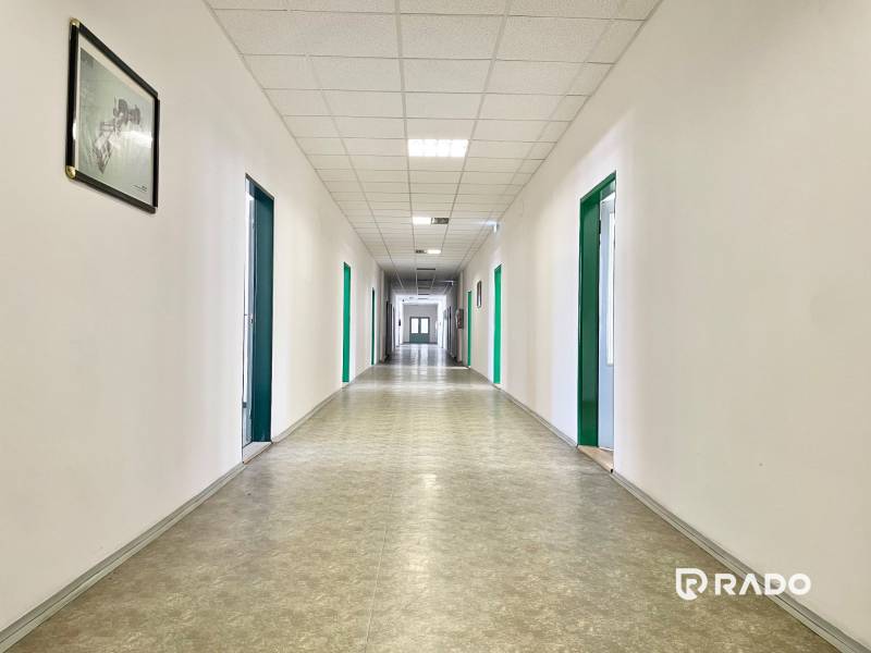 Ein langer Flur mit weißen Wänden und grünen Bürotüren.