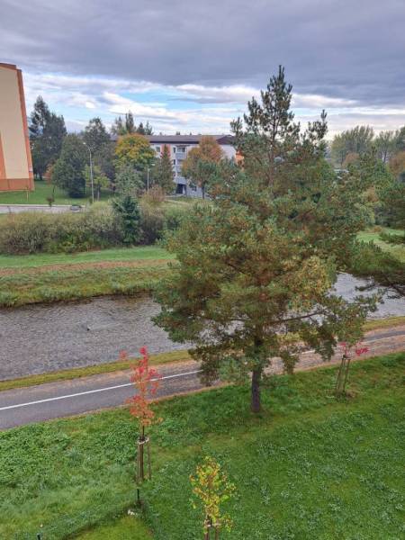 Blick aus einer 2-Zimmer-Wohnung in der Jilemnického-Straße in der Stadt Svit, einschließlich Fluss und Grünflächen.