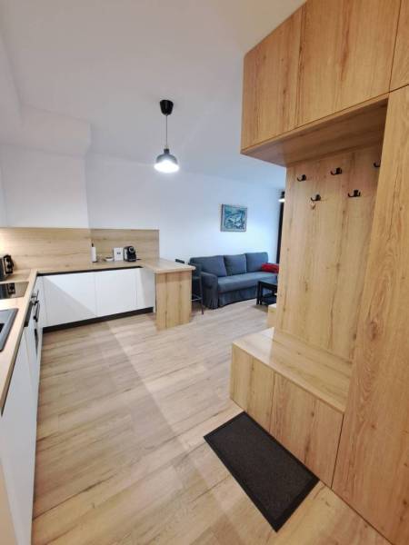 Küche mit Wohnzimmer in einer 2-Zimmer-Wohnung, die Ausstattung umfasst Holzböden und Wandschränke.