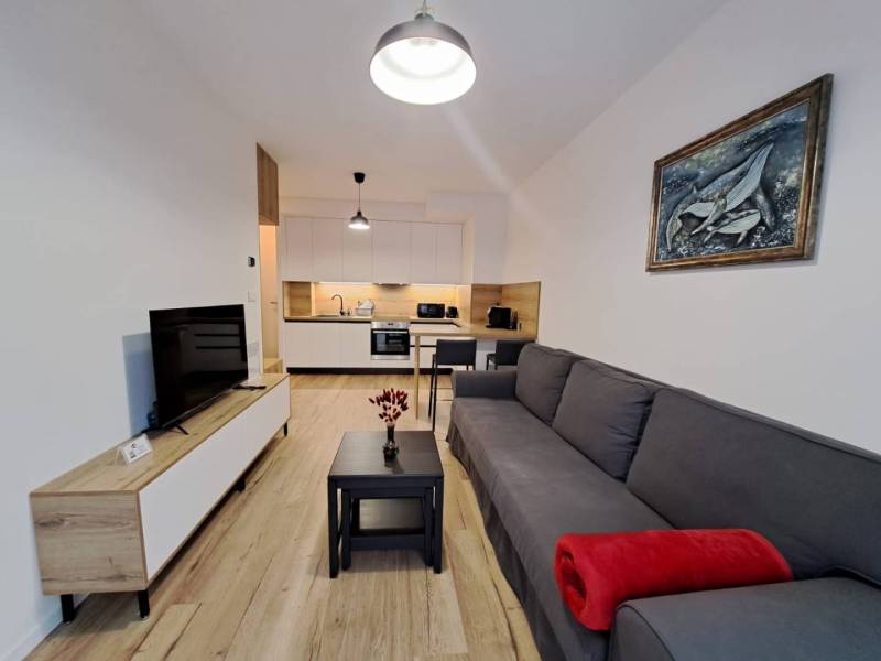 Wohnzimmer einer Zweizimmerwohnung mit Kochnische, Sofa und Fernseher.
