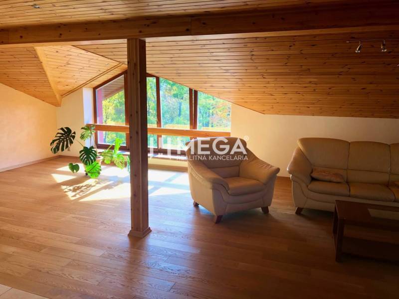 Wohnzimmer einer 3-Zimmer-Dachgeschosswohnung mit Holzdecke und Ledersofa.