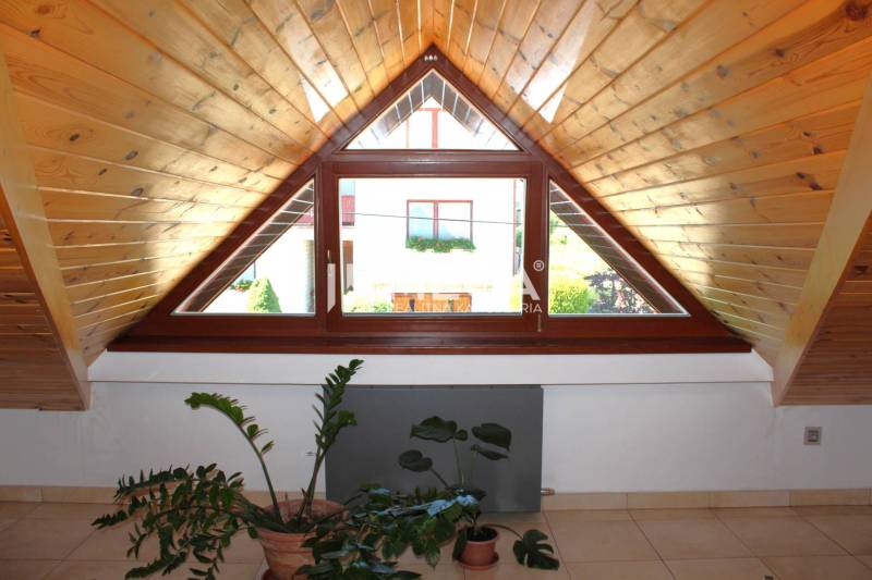Ein Dachgeschoss aus Holz mit einem großen Fenster in einer 3-Zimmer-Wohnung, Zimmerpflanzen auf dem Boden.