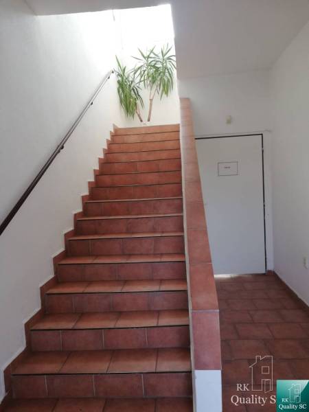 Das Innere eines Gebäudes mit braunen Treppen und einer Pflanze an der Wand.