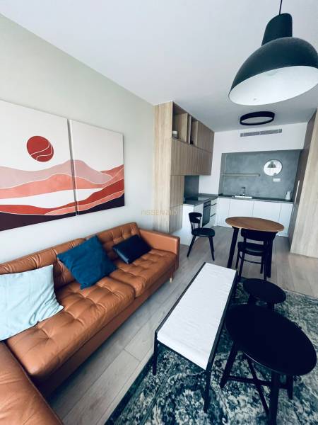 2-Zimmer-Wohnung mit Ledersofa, Kunstgemälde und Küche mit Esstisch.
