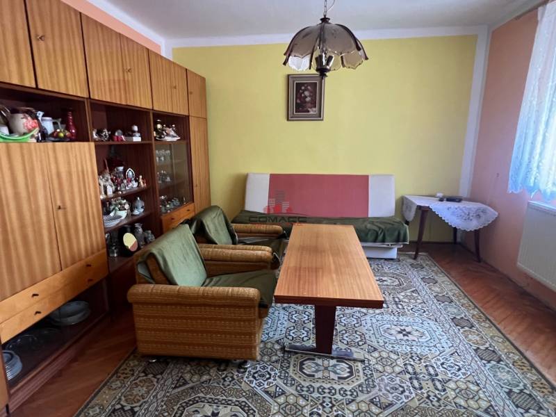Wohnzimmer in einem Einfamilienhaus mit Retro-Möbeln, grünen Sesseln und einem großen Teppich.