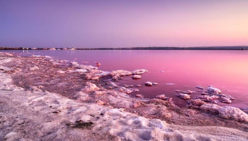 Rosa Lagune mit Salzablagerungen in der Umgebung in Torrevieja, Campoamor 12.