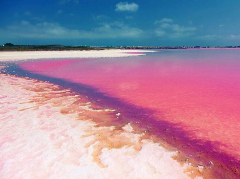 Die rosa Lagune und der weiße Salzstrand bei Torrevieja auf einem Foto aus Campoamor 12.