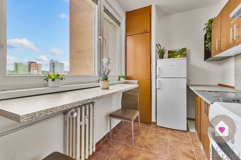 Küche mit Fenster, Bartresen, Stuhl und Kühlschrank in einem Einzimmerapartment.