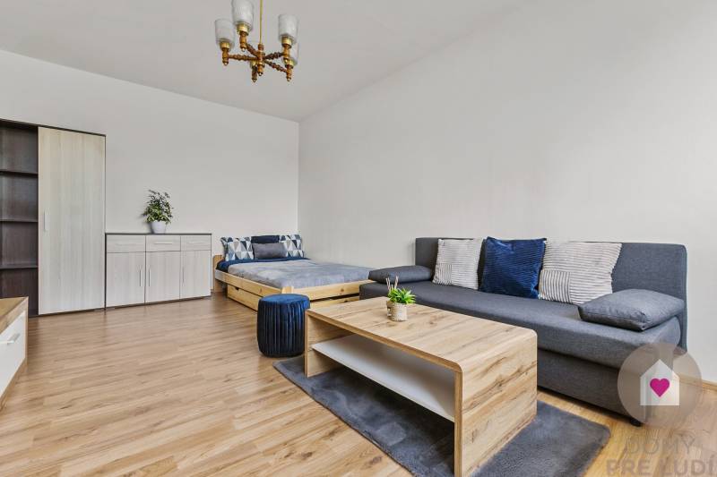 Wohnzimmer in einer Einzimmerwohnung mit Sofa, Bett und Holzmöbeln.