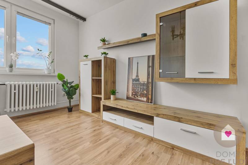 Wohnzimmer in einer Einzimmerwohnung mit Holzmöbeln und Pflanzen, helle und luftige Atmosphäre.