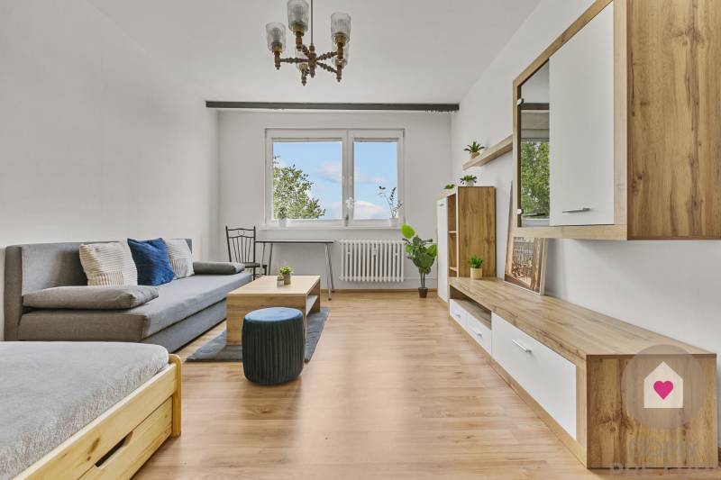 Wohnzimmer mit Sofa, Couchtisch und Schrank in einer Einzimmerwohnung.