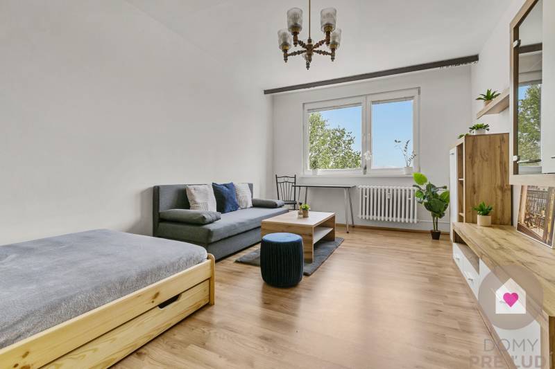 Wohnzimmer mit Sofa, Bett und Holzmöbeln in einer Einzimmerwohnung.