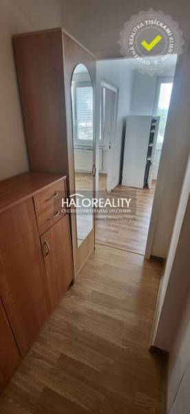 Ein schmaler Flur mit Holzmöbeln in einer Einzimmerwohnung, Licht dringt aus dem angrenzenden Raum.