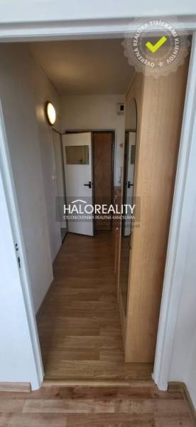 Flur in einer Einzimmerwohnung mit Eingangstür und Holzboden.