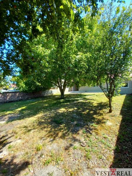 Garten in Trakovice bei einem Einfamilienhaus mit dichtem Bewuchs und Rasen.
