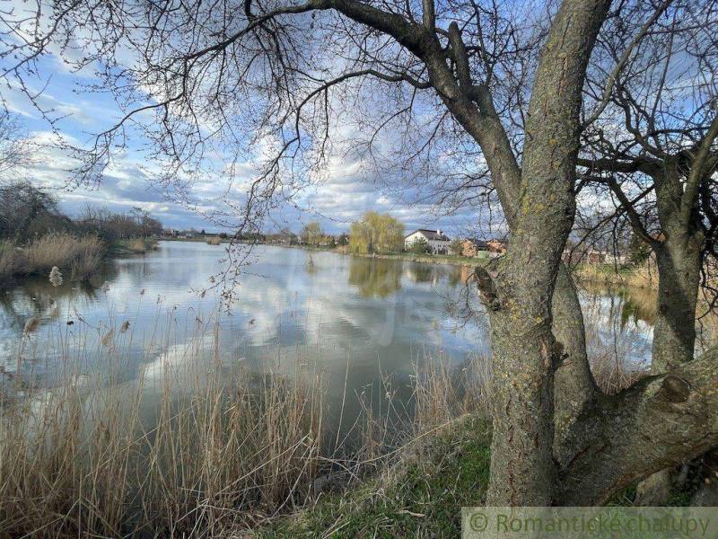 Ein Teich, umgeben von Bäumen, mit Spiegelungen von Häusern in Nové Zámky.