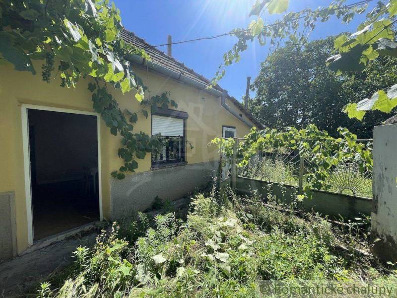 Ein Einfamilienhaus in Nové Zámky mit Kletterpflanzen an der Fassade und einem vernachlässigten Garten.