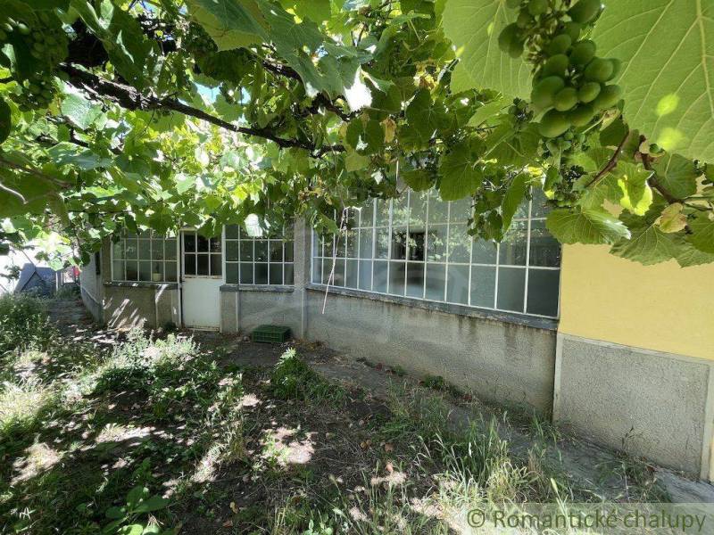 Ein Garten bei einem Einfamilienhaus in Nové Zámky mit Weinreben und einer verglasten Veranda.