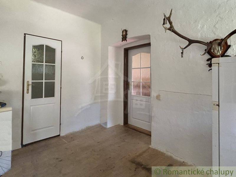 Ein weißes Zimmer mit zwei Türen und einem Geweih in einem Einfamilienhaus.