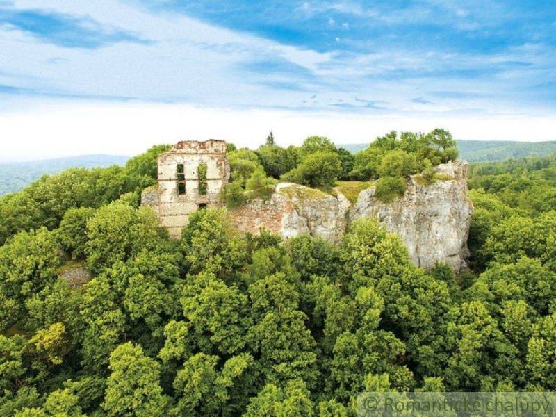 Die Burgruine auf einem Felsen, umgeben von Wäldern in Malacky, schafft eine malerische Gartenszenerie.
