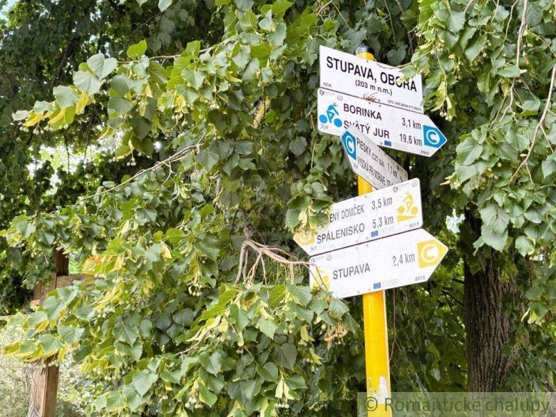 Wegweiser umgeben von Blättern in den Gärten von Malacky, die Wanderwege anzeigen.