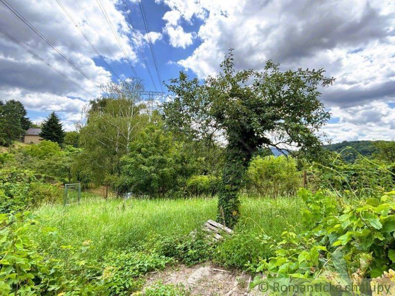 Gärten von Malacky mit einem einsamen Baum und üppiger Vegetation unter einem bewölkten Himmel.