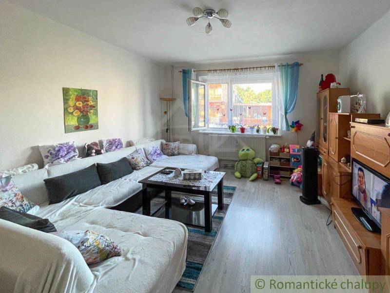 Wohnzimmer mit Sofa, Couchtisch, Fernseher und Kinderspielzeug in einem Einfamilienhaus.