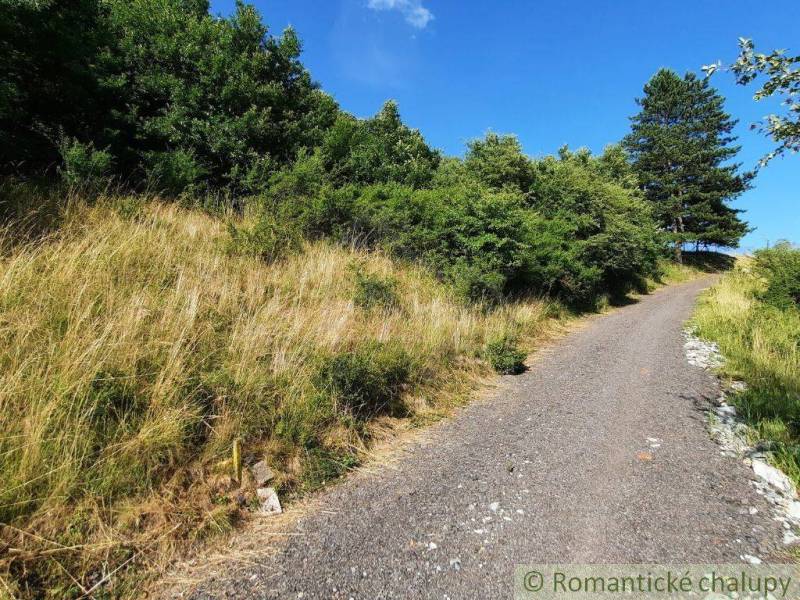 Natürlich. Das Bild zeigt eine Landstraße, die von Gras und Bäumen in den Gärten in Žarnovica umgeben ist.