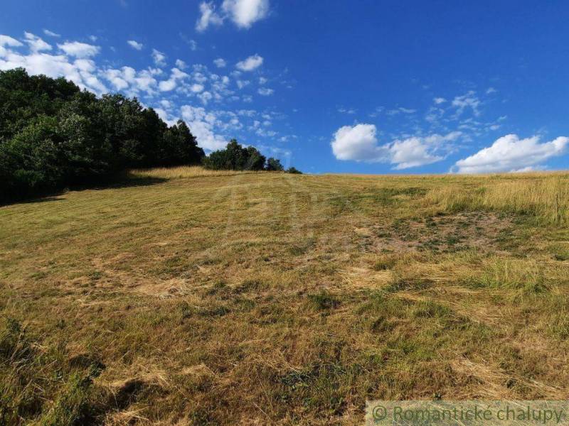 Eine Wiese mit Bäumen unter blauem Himmel in der Umgebung von Gärten in Žarnovica.