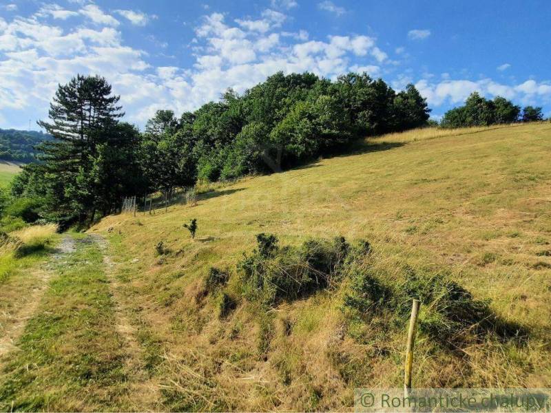 Hügeliges Gelände mit einem Weg, Grasflächen und Bäume in Žarnovica, Záhrady.