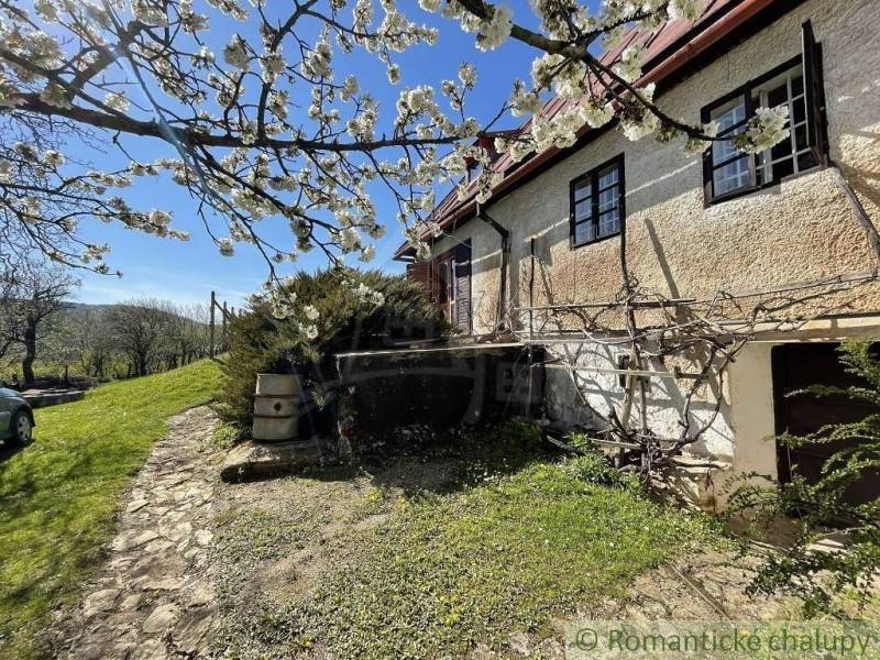Steinernes Landhaus mit Garten und blühenden Bäumen, ideal für besondere Immobilien.