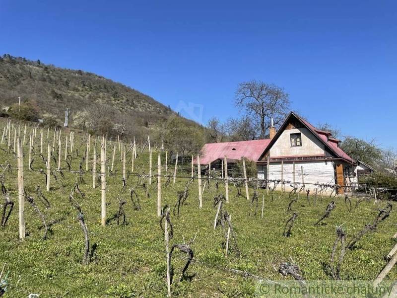 Ein Haus mit rotem Dach, umgeben von Weinbergen, Hügel am Horizont. Ungewöhnliche Immobilien.
