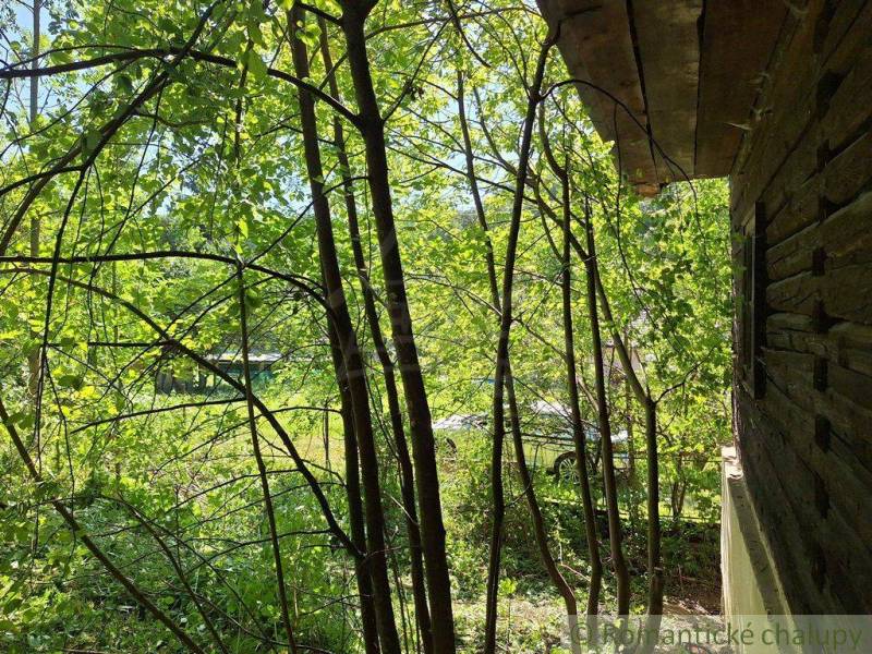 Der Garten bei der Hütte in Liptovský Mikuláš, umgeben von Bäumen und üppiger Vegetation.