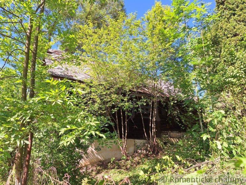 Eine alte Holzhütte in Liptovský Mikuláš, umgeben von dichtem Wald und Grün.