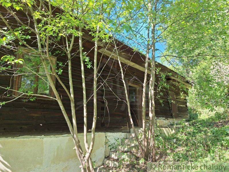 Eine Holzhütte in Liptovský Mikuláš, umgeben von Bäumen und Grün.