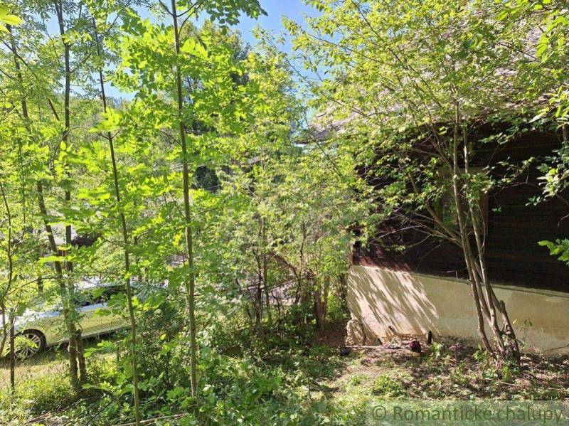 Eine Hütte in Liptovský Mikuláš, umgeben von üppigem Grün und zahlreichen Bäumen.