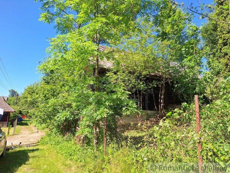 Eine verlassene Hütte in Liptovský Mikuláš, überwuchert von Bäumen und Sträuchern.