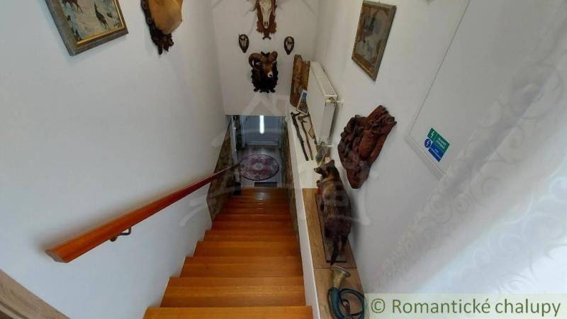 Eine Treppe im Einfamilienhaus, dekoriert mit Jagdtrophäen und Bildern.