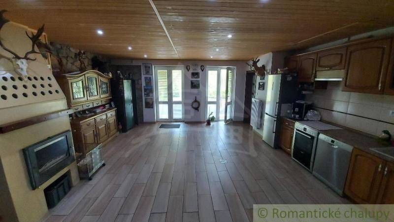 Innenraum eines Einfamilienhauses mit Kamin, Holzelementen und Trophäen an den Wänden.