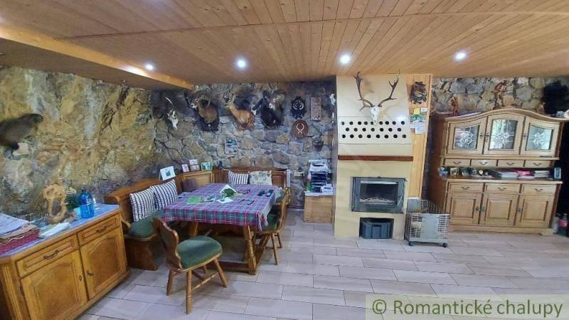 Innenraum eines Einfamilienhauses mit stilvollem Kamin und Jagdtrophäen an der Steinwand.