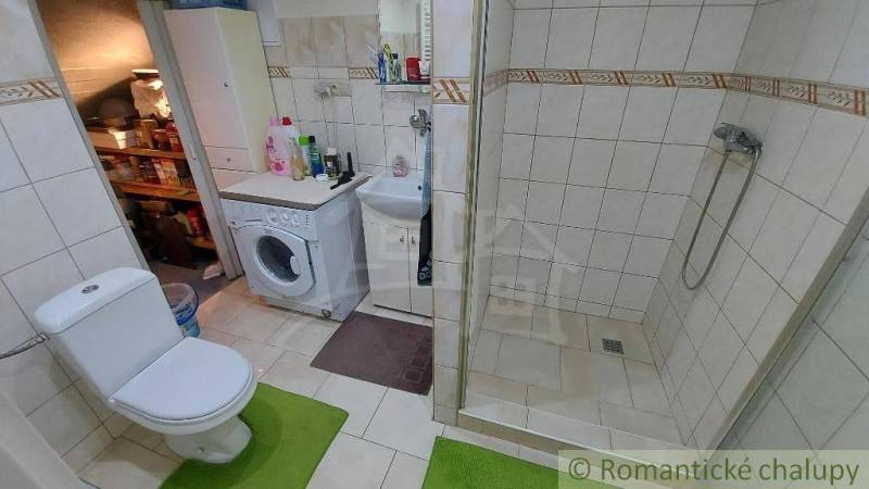 Badezimmer in einem Einfamilienhaus mit Dusche und Waschmaschine, daneben befindet sich eine Toilette.